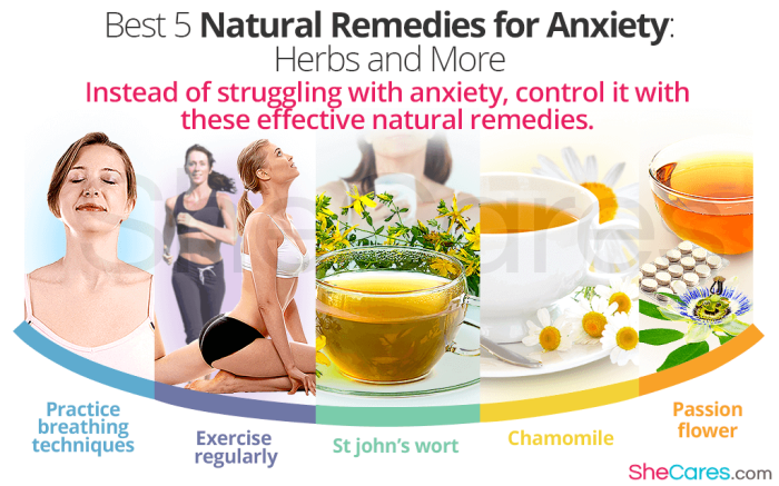 Best 5 Natural Remedies for Anxiety: Herbs and More | SheCares